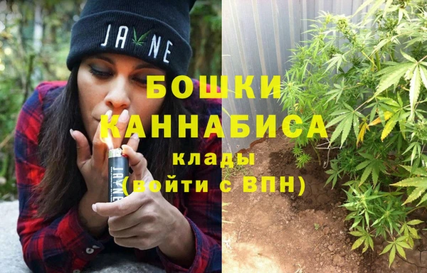 сатива Кодинск