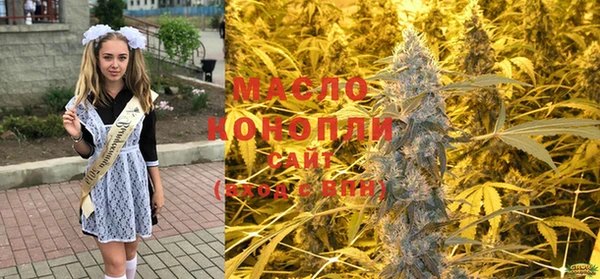 сатива Кодинск