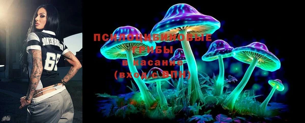 дживик Кинешма
